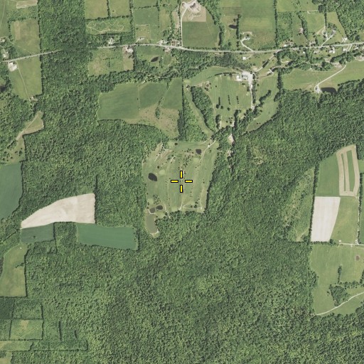 Aerial/Satellite Image of Apalachin Golf Course, NY