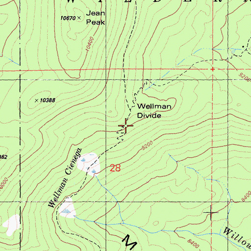 Topographic Map of Wellman Divide, CA