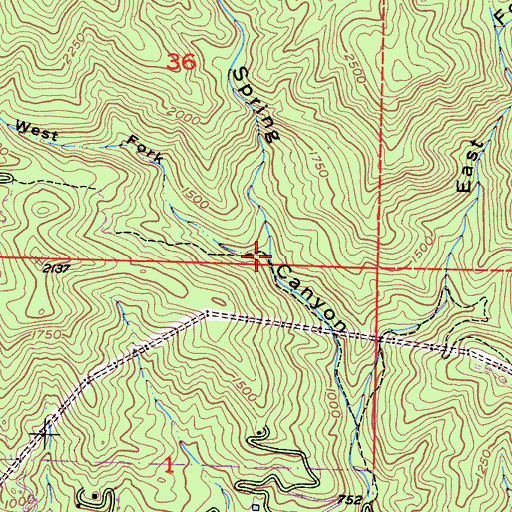 Topographic Map of West Fork Cold Spring Canyon, CA