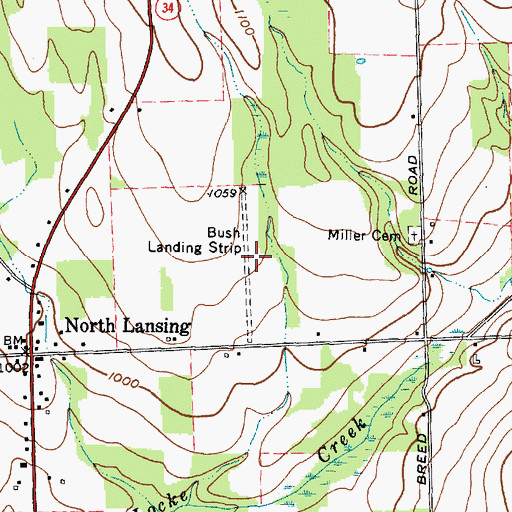 Topographic Map of Bush Landing Strip (historical), NY