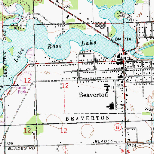 Topographic Map of Beaverton Station (historical), MI