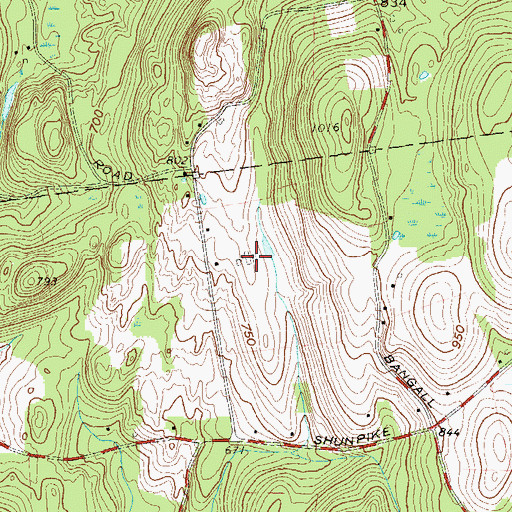 Millbrook Vineyards And Winery, NY