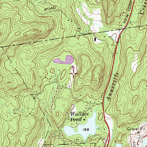 Topographic Map of Chicory Meadow Farm, NY