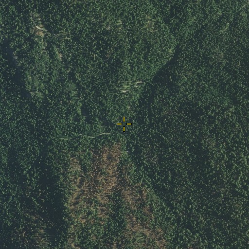 Aerial/Satellite Image of Mosquito Creek, CA