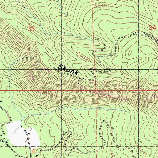 Topographic Map of Skunk Ridge, CA