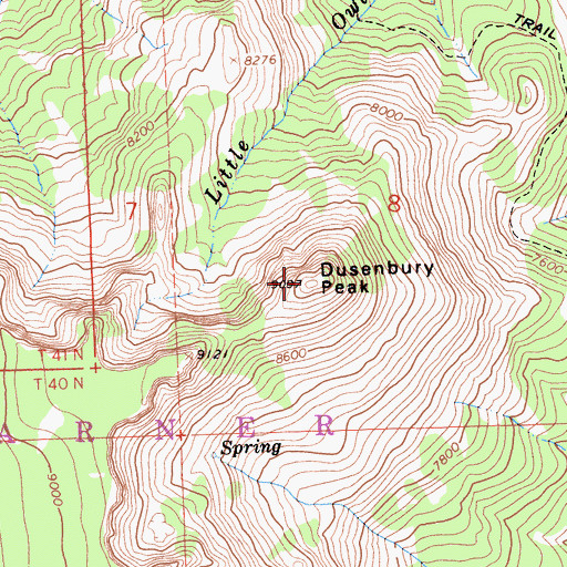 Topographic Map of Dusenbury Peak, CA