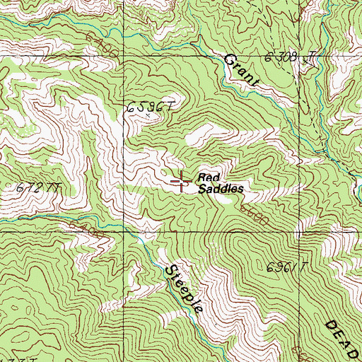 Topographic Map of Red Saddles, AZ