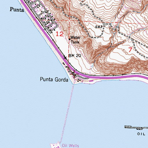 Topographic Map of Punta Gorda, CA