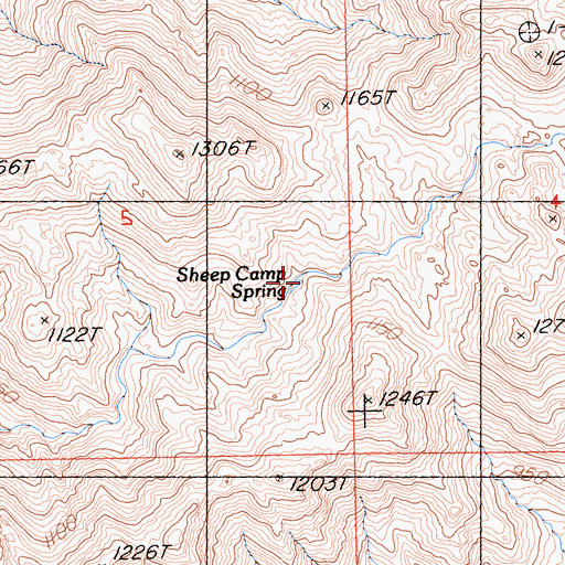 Topographic Map of Sheep Camp Spring, CA