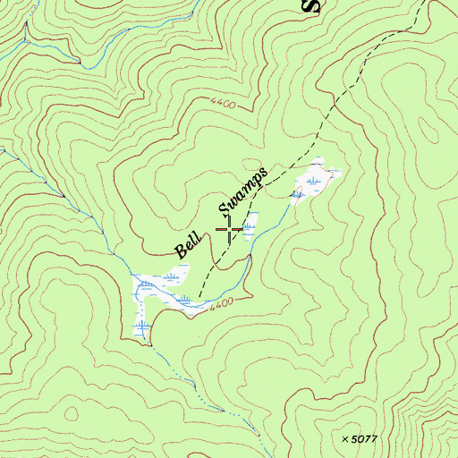 Topographic Map of Bell Swamps, CA