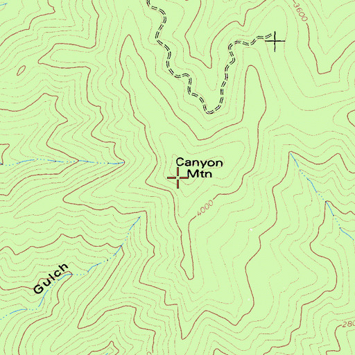 Topographic Map of Canyon Mountain, CA
