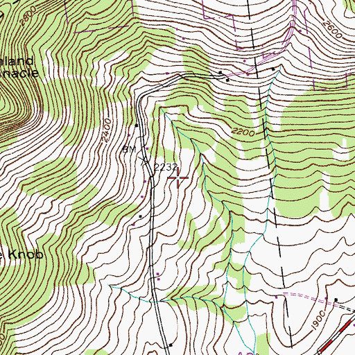 Topographic Map of Bald Mountain Tree Farm, NY