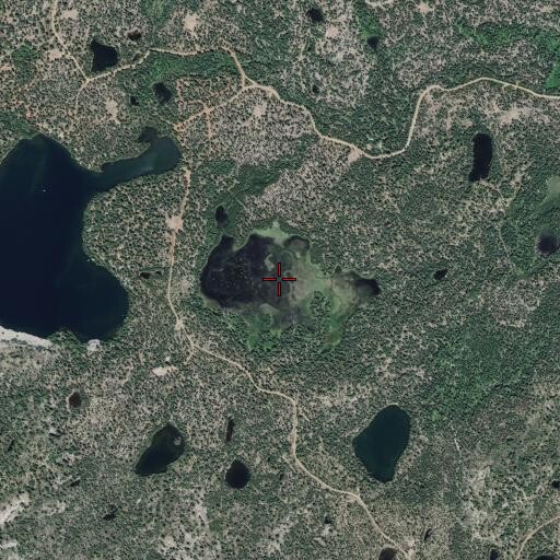 Aerial/Satellite Image of Cooper Swamp, CA