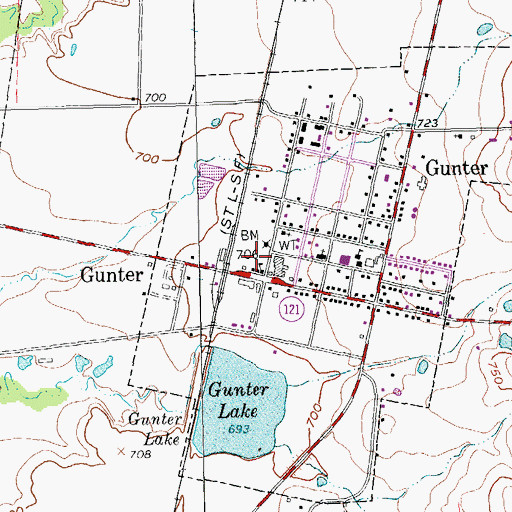 Topographic Map of Gunter Volunteer Fire and Rescue, TX