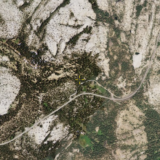 Aerial/Satellite Image of Tragedy Spring, CA