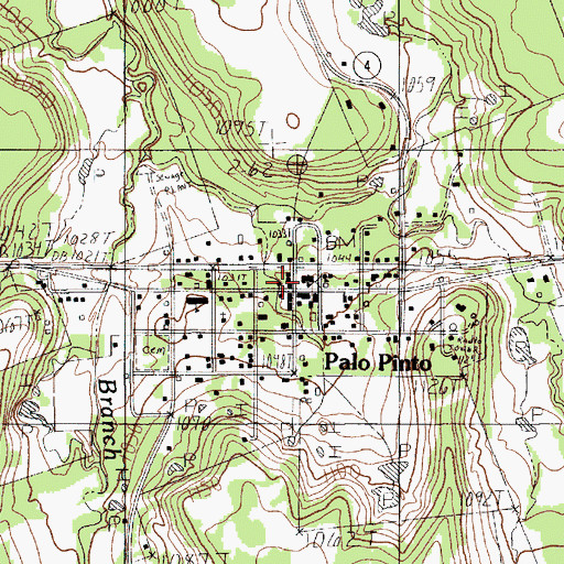 Topographic Map of Palo Pinto Fire Department, TX