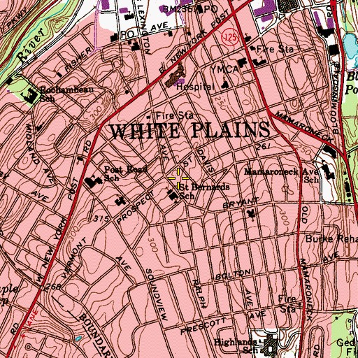 Topographic Map of Druss Park, NY