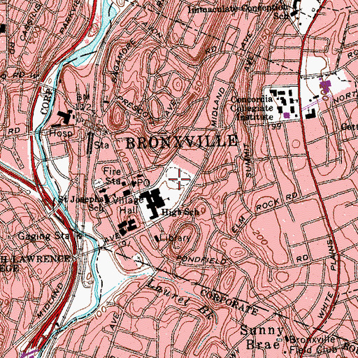 Topographic Map of Pond Field (historical), NY