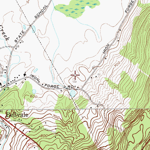 Topographic Map of Bellvale Farms, NY