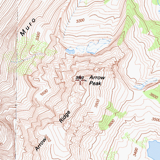 Topographic Map of Arrow Peak, CA