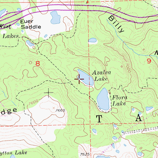 Topographic Map of Azalea Lake, CA