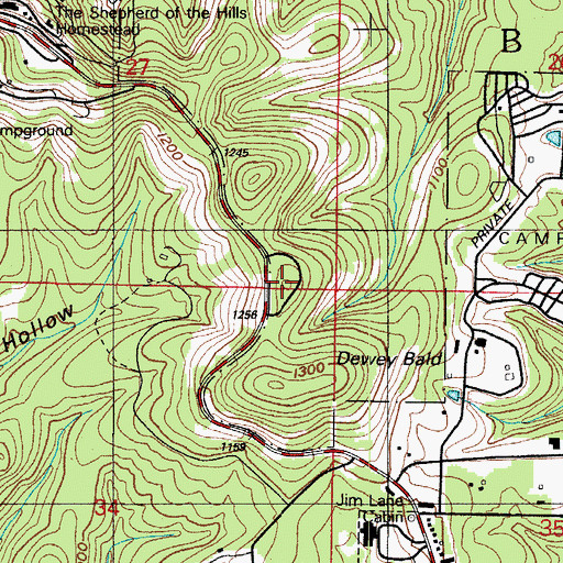 Topographic Map of White Cedar Bald, MO
