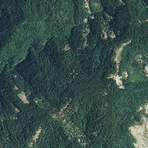 Aerial/Satellite Image of Balsam Flat, CA