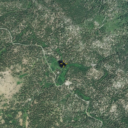 Aerial/Satellite Image of Bear Flat, CA