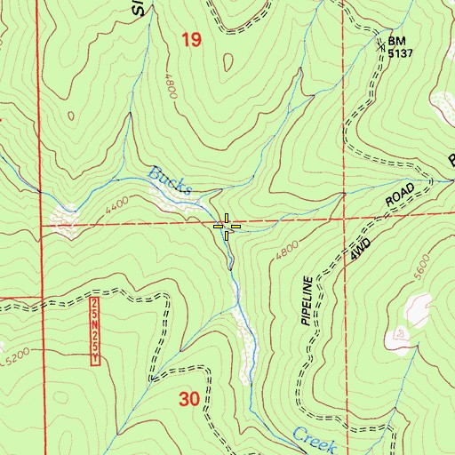 Topographic Map of Bear Ravine, CA
