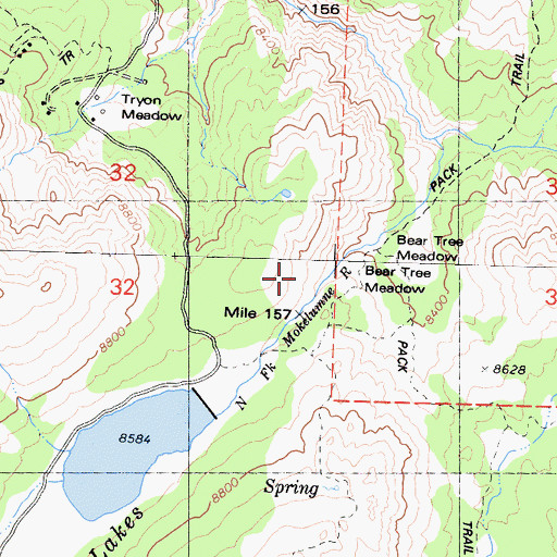 Topographic Map of Bear Tree Meadow, CA