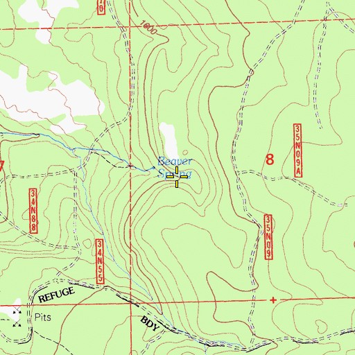 Topographic Map of Beaver Spring, CA