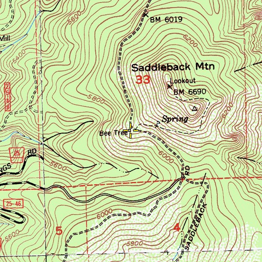 Topographic Map of Bee Tree, CA