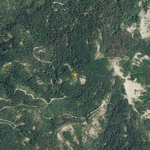 Aerial/Satellite Image of Bee Tree, CA