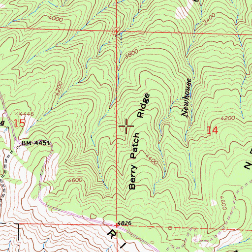 Topographic Map of Berry Patch Ridge, CA