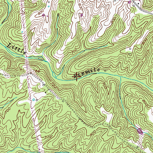 Topographic Map of School Number Forty (historical), KY