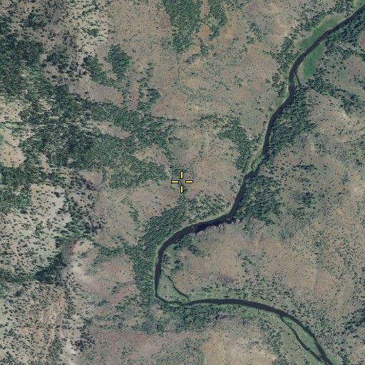 Aerial/Satellite Image of Big Canyon, CA
