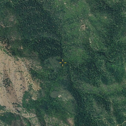 Aerial/Satellite Image of Big Grizzly Creek, CA