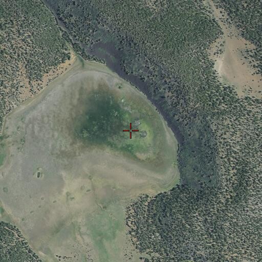 Aerial/Satellite Image of Big Jack Lake, CA