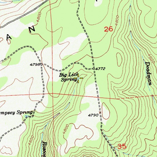 Topographic Map of Big Lick Spring, CA
