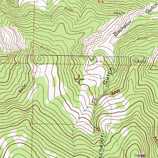 Topographic Map of Bachelor Gulch Village, CO