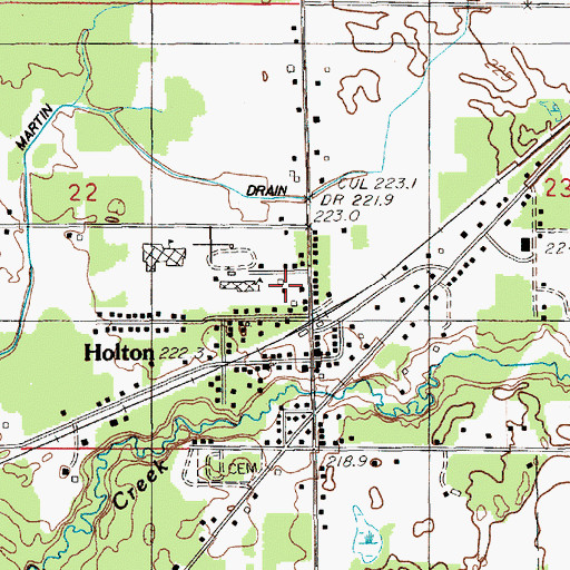 Topographic Map of Holton Elementary School, MI