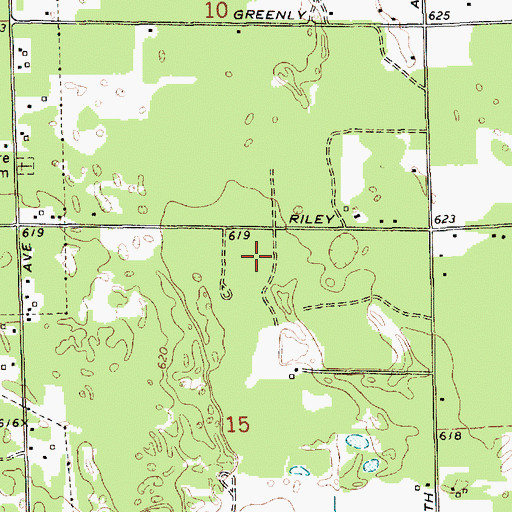 Topographic Map of Riley Park, MI