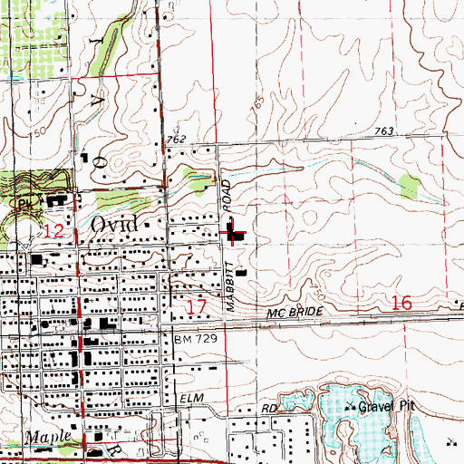 Topographic Map of Leonard Elementary School, MI