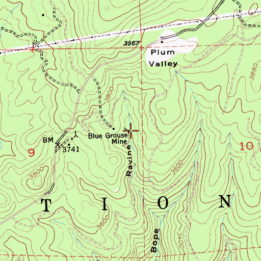 Topographic Map of Blue Grouse Mine, CA