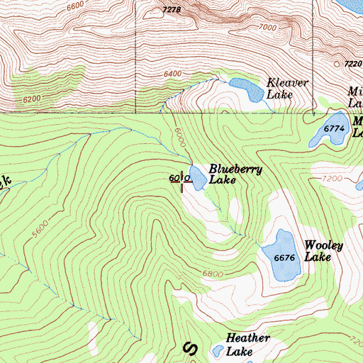 Topographic Map of Blueberry Lake, CA