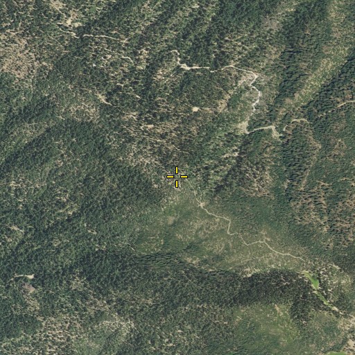 Aerial/Satellite Image of Board Camp Ridge, CA