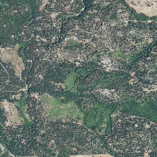 Aerial/Satellite Image of Bosworth Meadow, CA