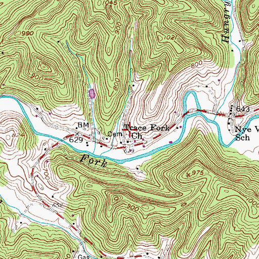 Topographic Map of Trace Fork Cemetery, WV