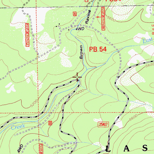 Topographic Map of Brown Ravine, CA