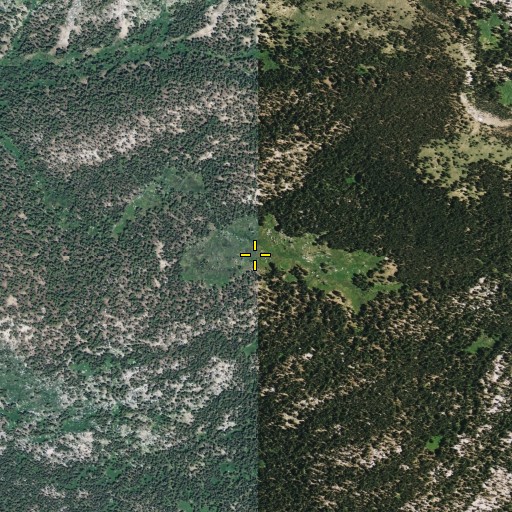 Aerial/Satellite Image of Bryan Meadow, CA
